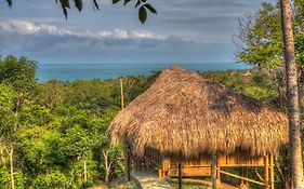 Villa Maria Tayrona, Jungle&Sea Experience